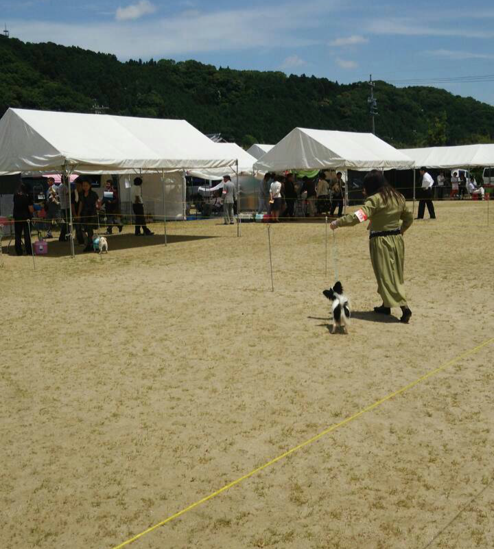 ショー