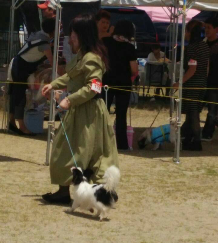 ショー