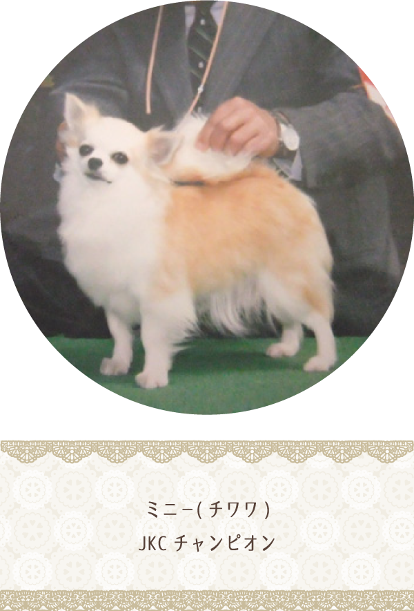 ミニー