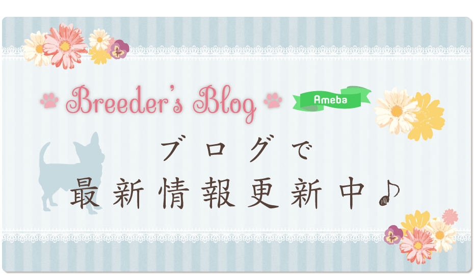 ブログ