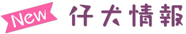 仔犬情報