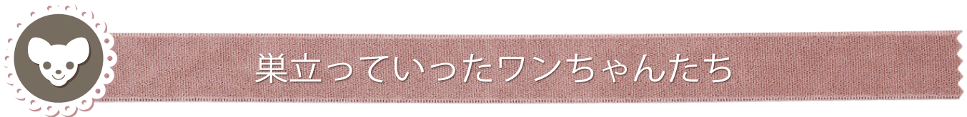 巣立っていったワンちゃんたち