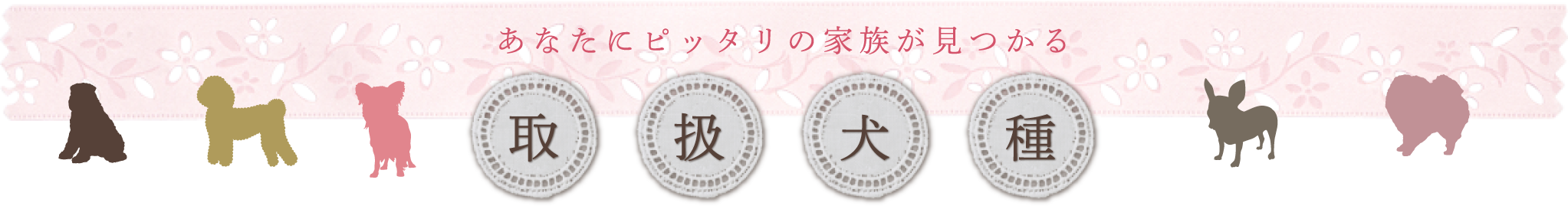 取扱犬種