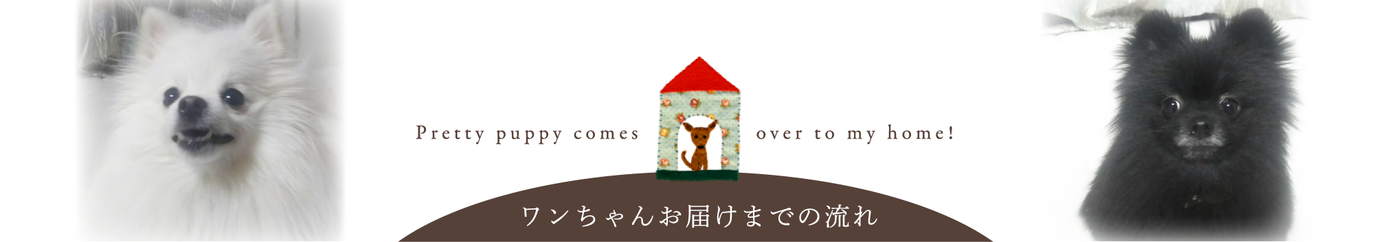 ワンちゃんお届けまでの流れ